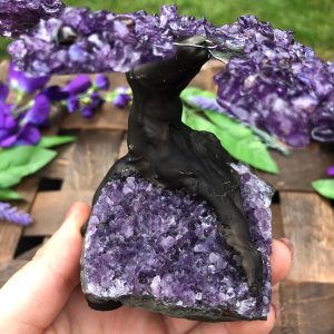 Amethyst Crystal Tree