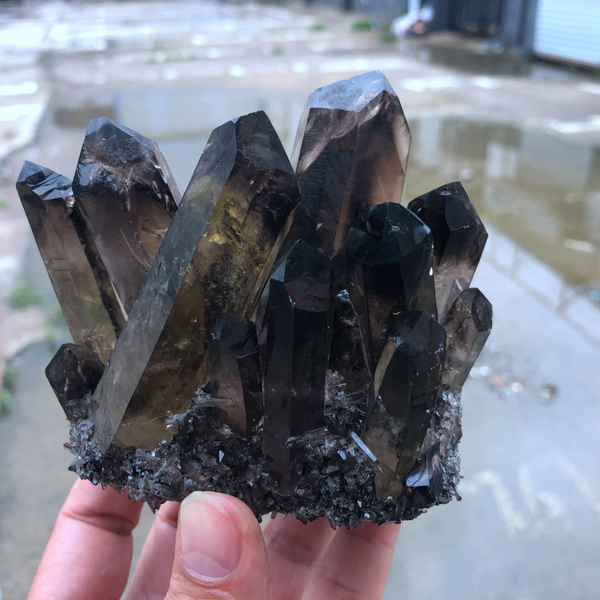 How to Grow Black Crystals