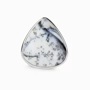 Dendritic Opal